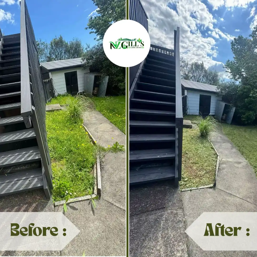 Lawn mowing before & after 1