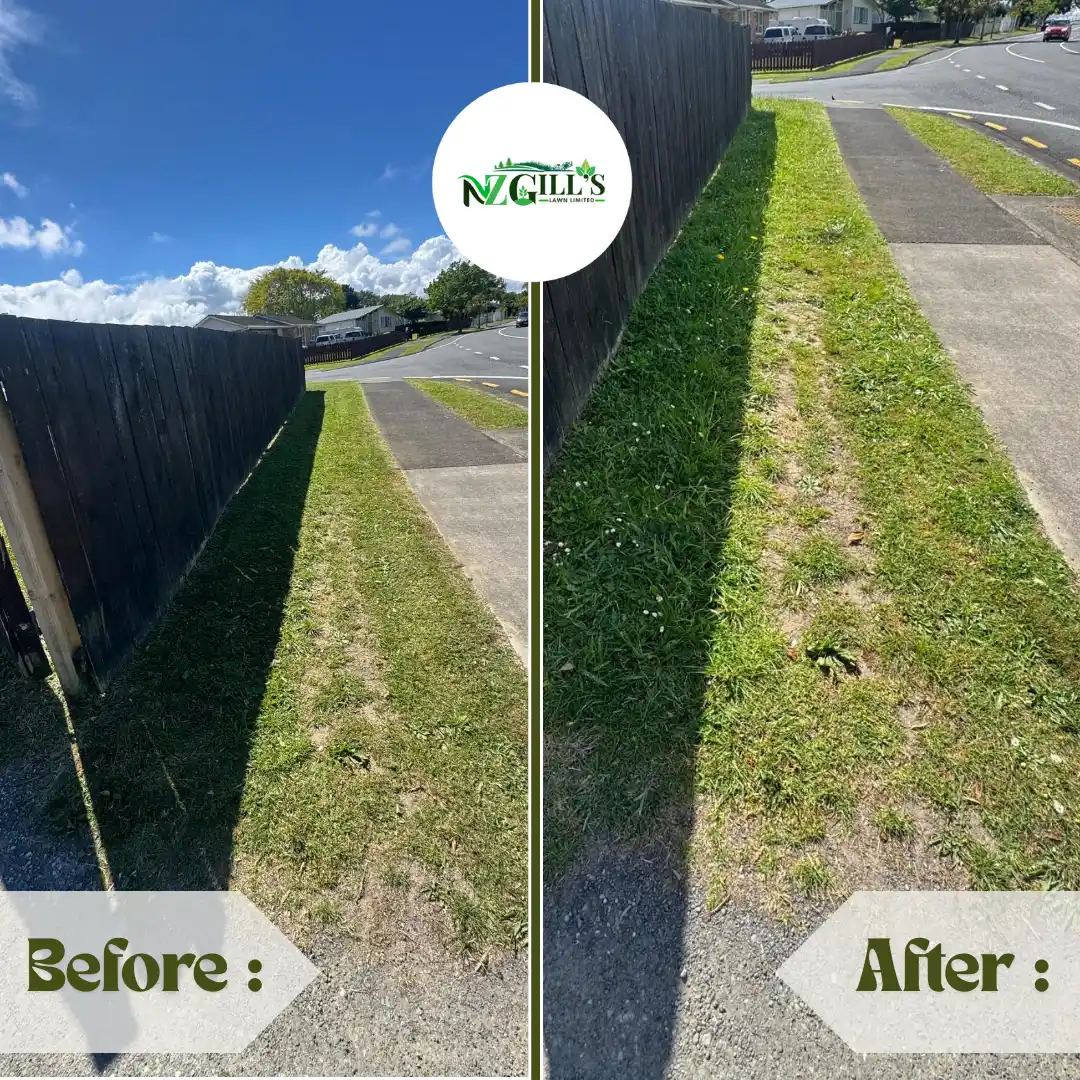 landscaping before & after 10