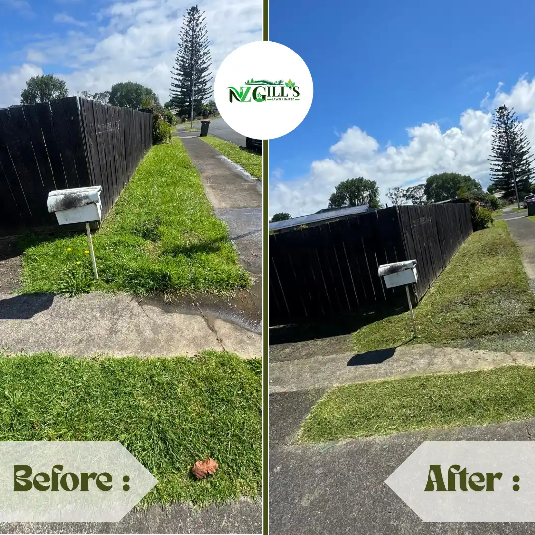 landscaping before & after 11