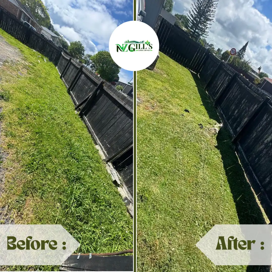 landscaping before & after 12