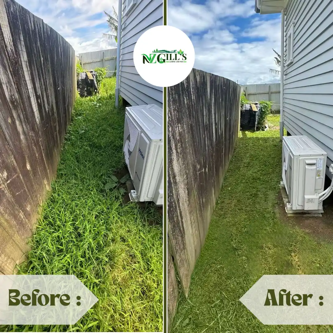 landscaping before & after 13