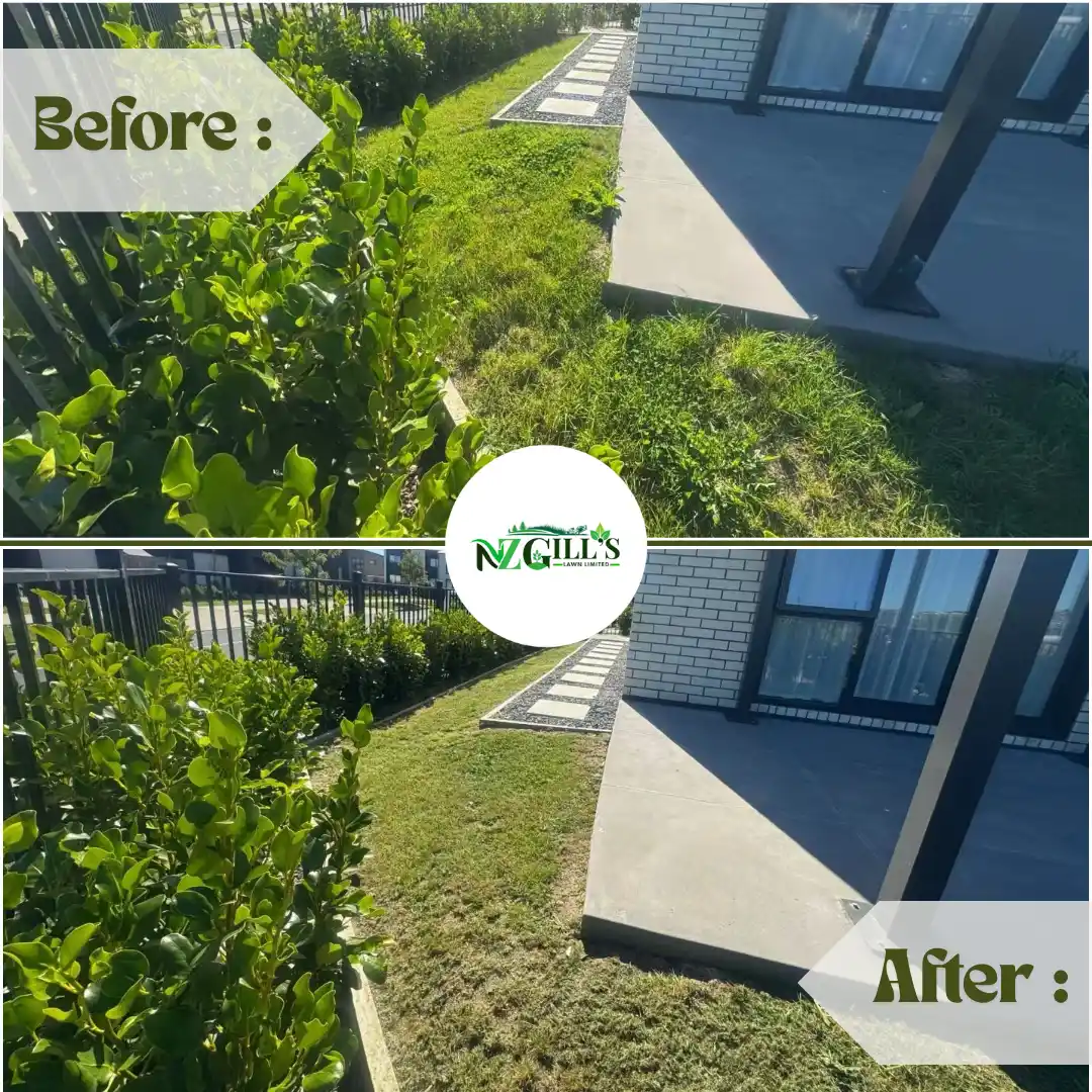 lawn Mowing before & After 4