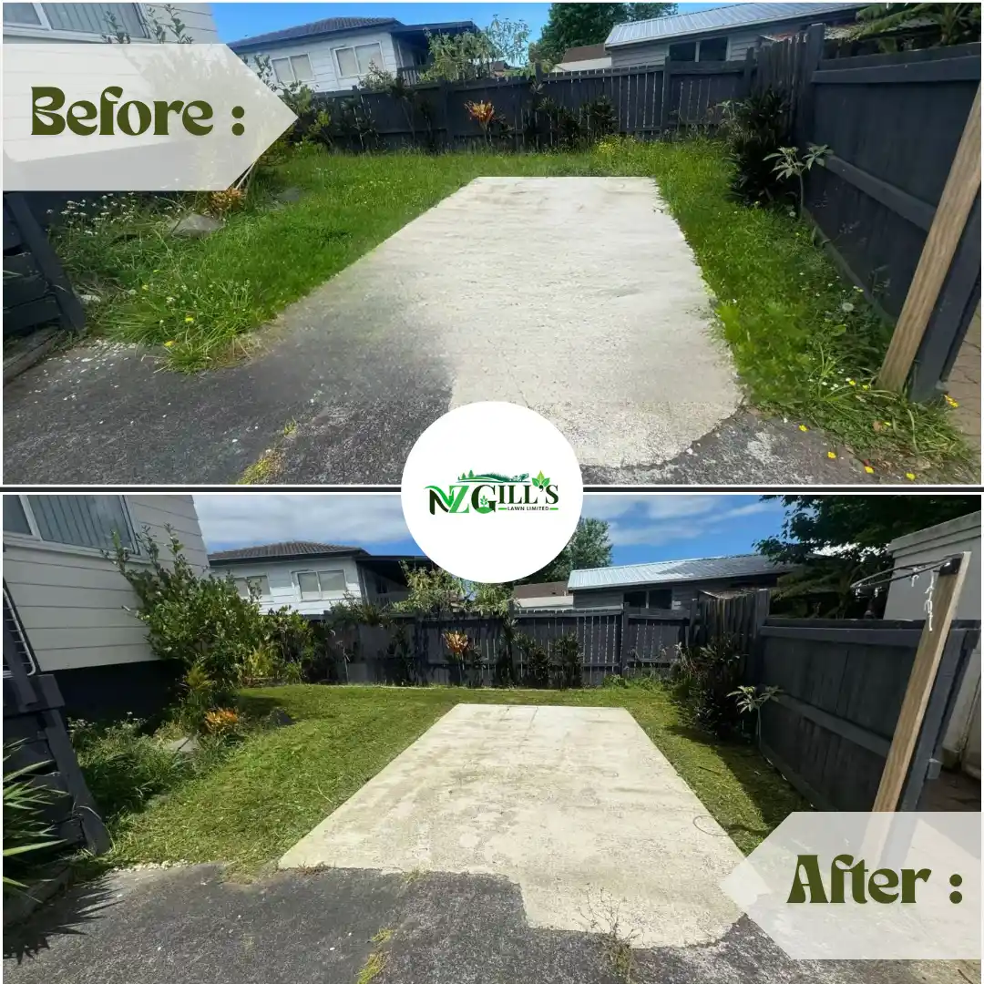 lawn Mowing before & After 5