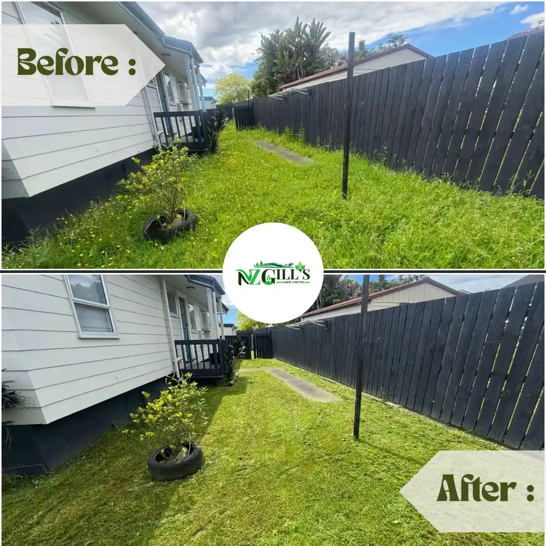 lawn Mowing before & After 6