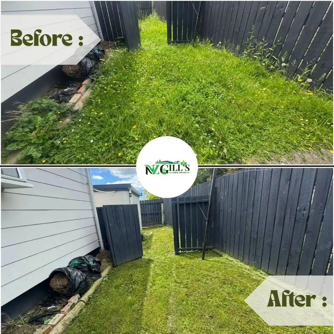 lawn Mowing before & After 7