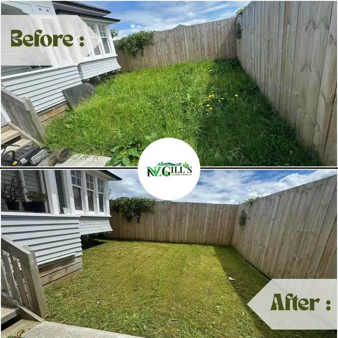 lawn Mowing before & After 8