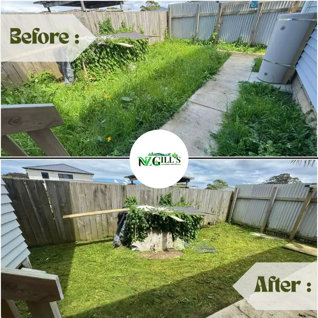 lawn Mowing before & After 9