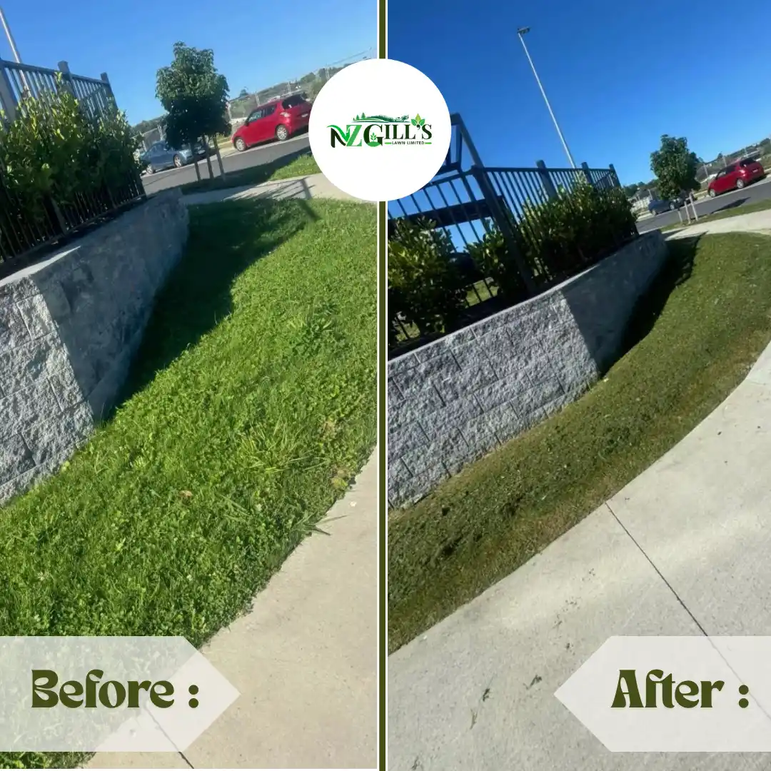 lawn mowing before & after 2